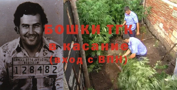 ПСИЛОЦИБИНОВЫЕ ГРИБЫ Алексеевка