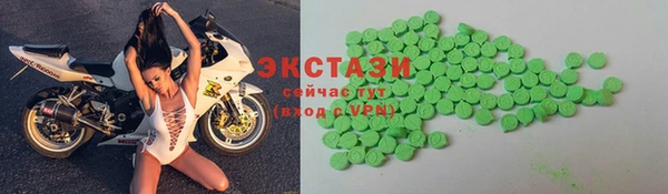 гашик Ельня