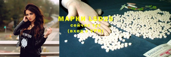ПСИЛОЦИБИНОВЫЕ ГРИБЫ Алексеевка