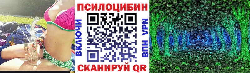 Псилоцибиновые грибы прущие грибы  купить  сайты  Зверево 